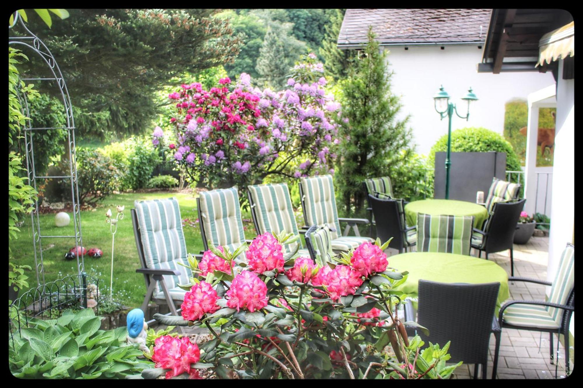 Pension Sonnenheim Winterberg Exterior photo